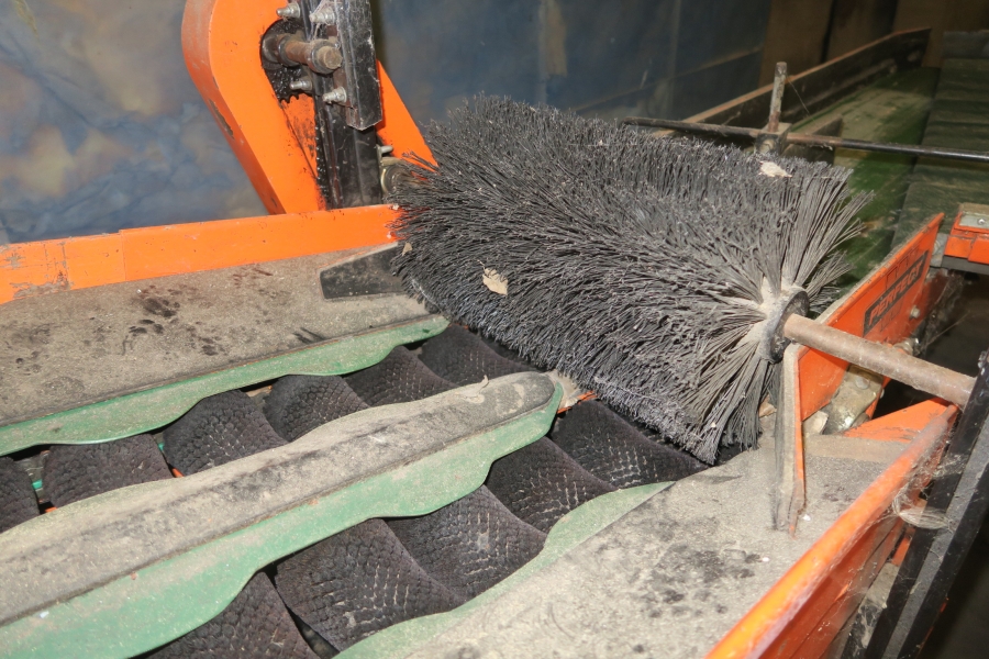 4387 Perfect apple grading line
