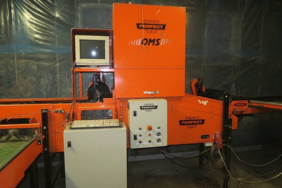4387 Perfect apple grading line
