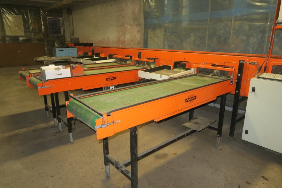 4387 Perfect apple grading line