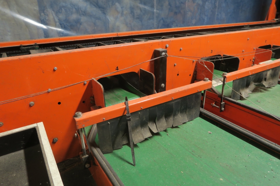4387 Perfect apple grading line