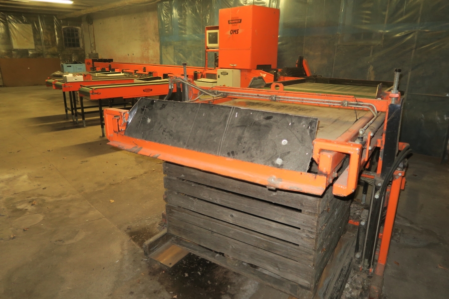 4387 Perfect apple grading line