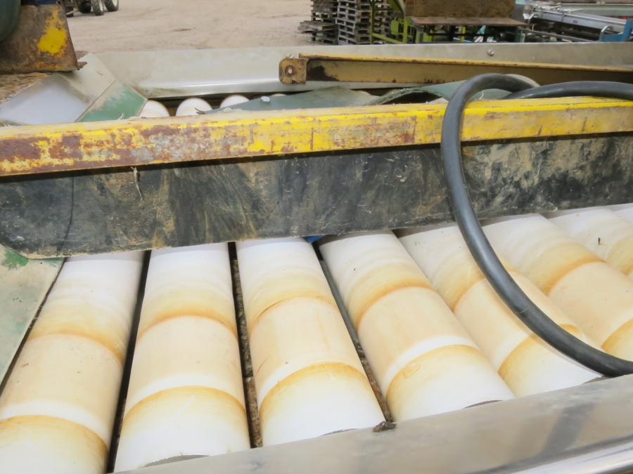 4418 Tong PEAL Washing line for potato and root vegetabes