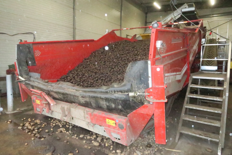 4558 Grimme RH24-60 XXL receiving hopper