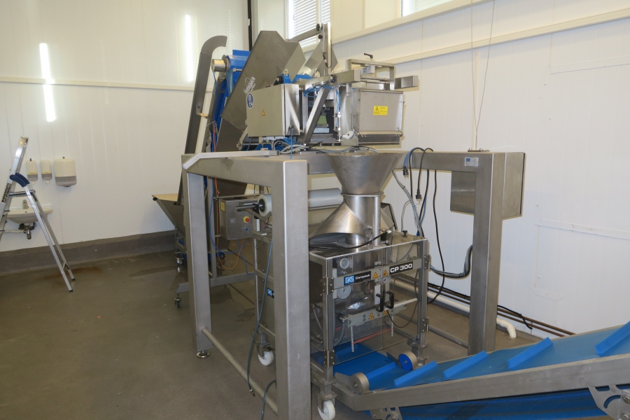 4593 GKS complete packaging line with vertical bagger, weigher etc