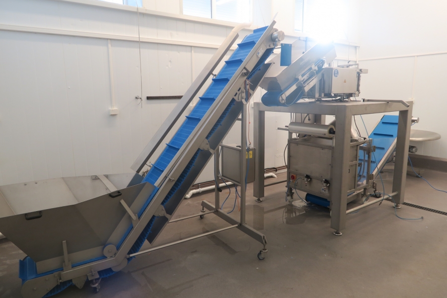 4593 GKS complete packaging line with vertical bagger, weigher etc