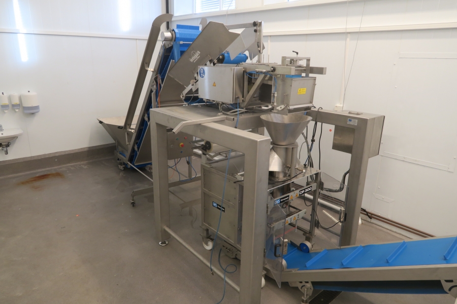 4593 GKS complete packaging line with vertical bagger, weigher etc