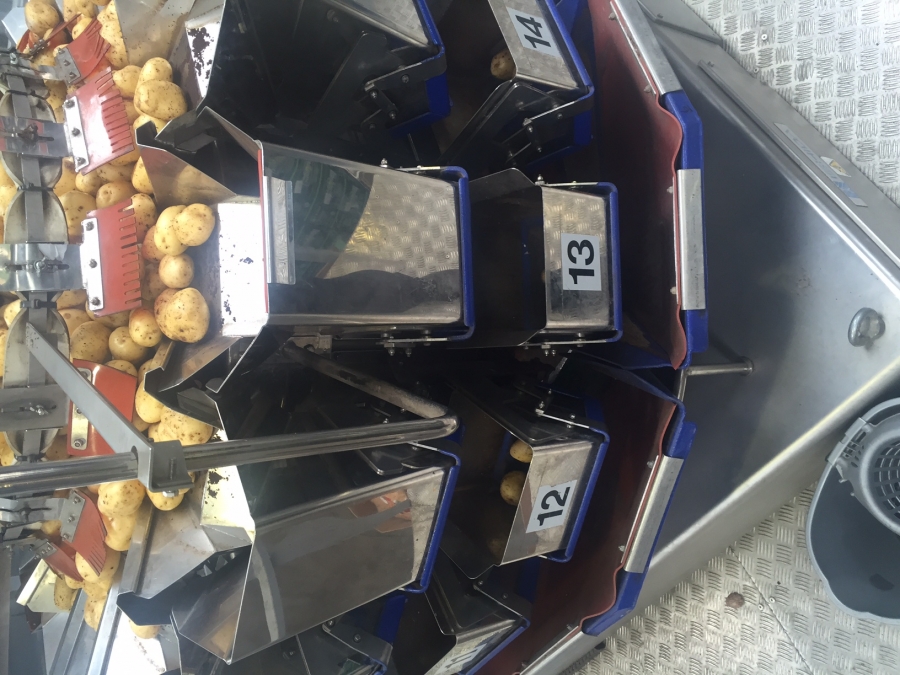 4600 Ishida multihead weigher CCW-RS-214W