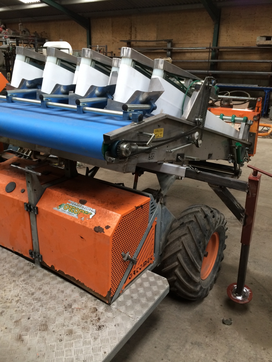 4604 Ortomec corn salad harvester