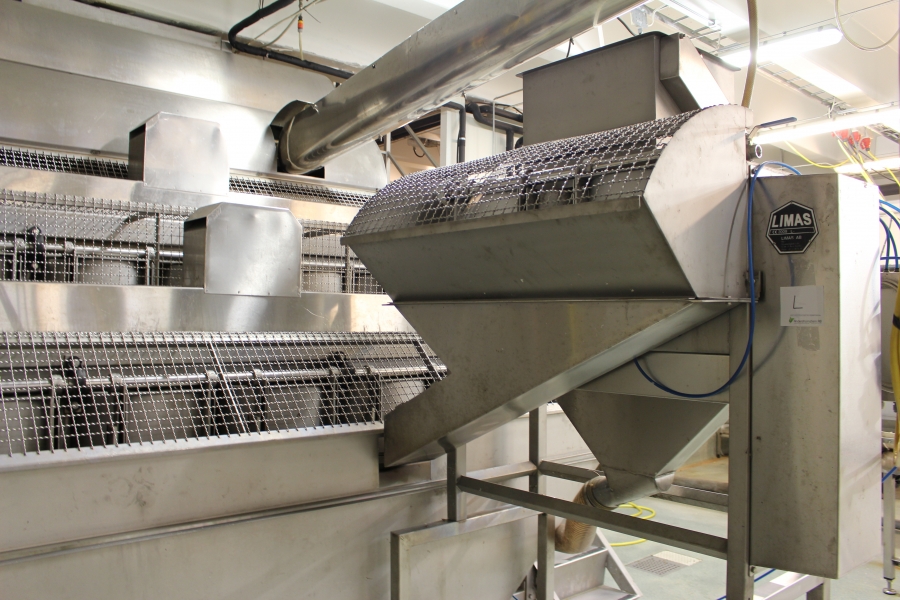 4642 LIMAS potato peeling Line with step peeler