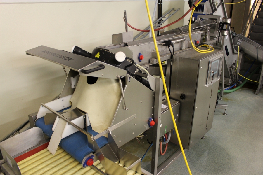 4642 LIMAS potato peeling Line with step peeler