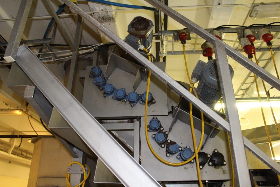 4642 LIMAS potato peeling Line with step peeler