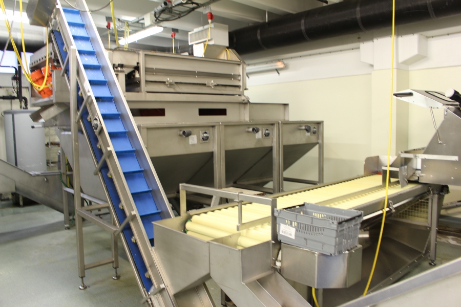 4642 LIMAS potato peeling Line with step peeler