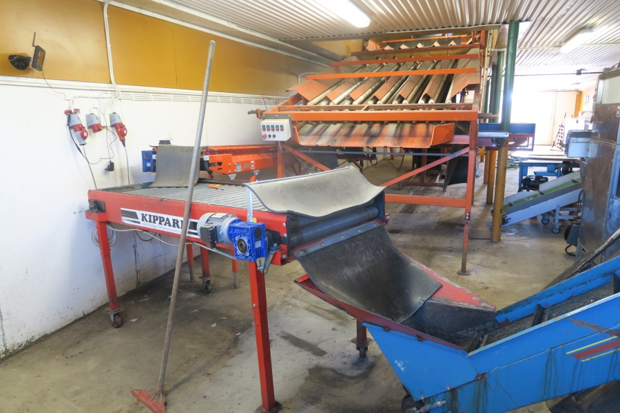 4646 Complete packaging line and weigher/bagger to Carrots