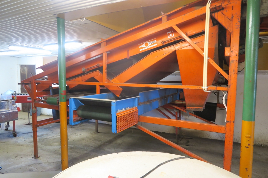 4678 EKKO  diameter grader for carrots