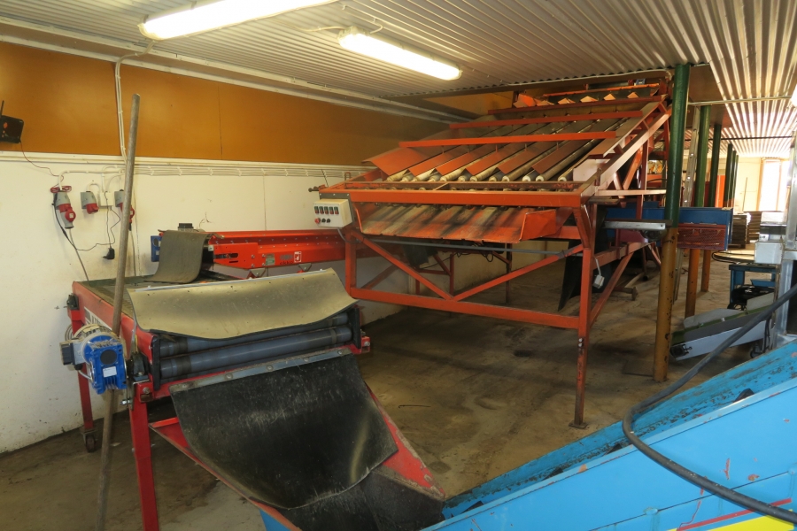4678 EKKO  diameter grader for carrots