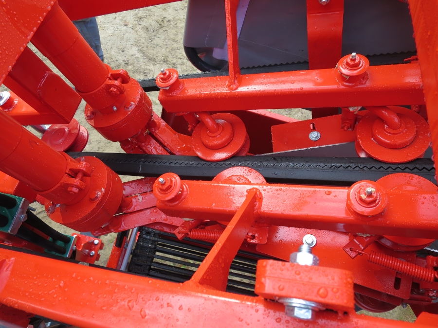 4692 Dewulf P3K carrot harvester with elevator