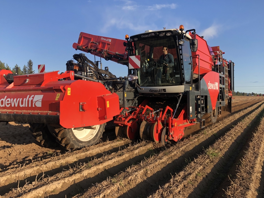 4702 Dewulf RQA3060 potato harvester selfpropelled