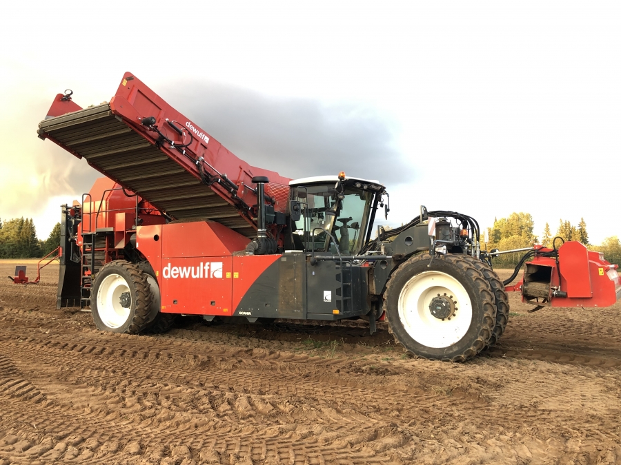 4702 Dewulf RQA3060 potato harvester selfpropelled