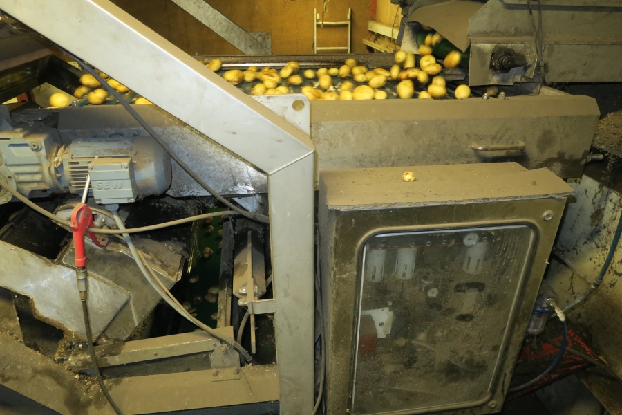 4721 Odenberg optical potato sorter