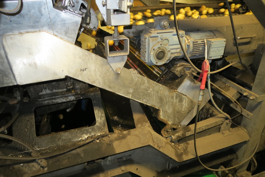 4721 Odenberg optical potato sorter