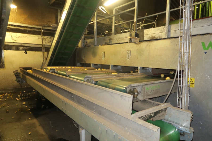 4749 WYMA rollergrader / lift roller sizer for potato / onion