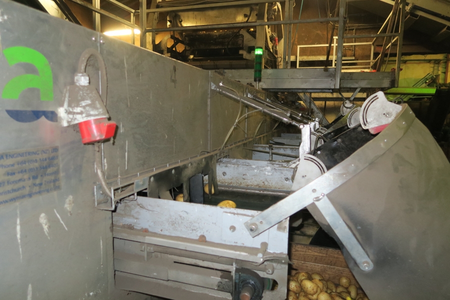 4749 WYMA rollergrader / lift roller sizer for potato / onion