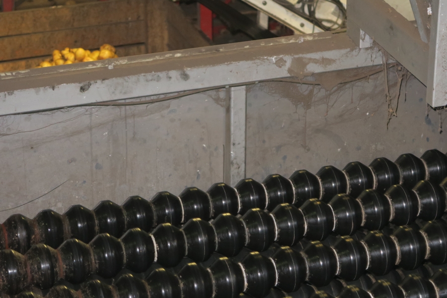 4749 WYMA rollergrader / lift roller sizer for potato / onion