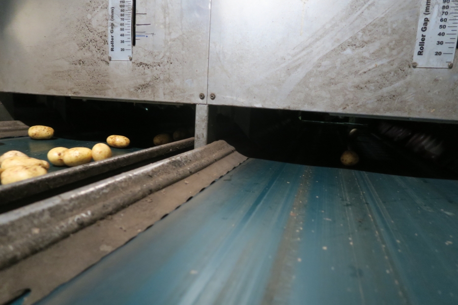4749 WYMA rollergrader / lift roller sizer for potato / onion