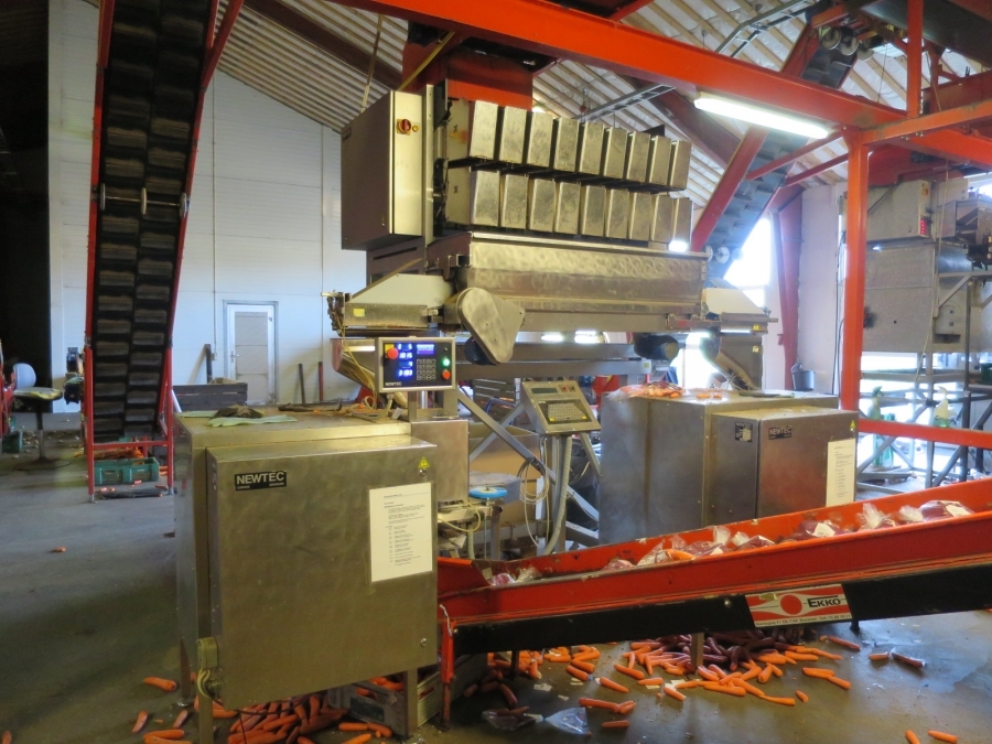 4768 Newtec 3009 weigher with bagging line for carrots