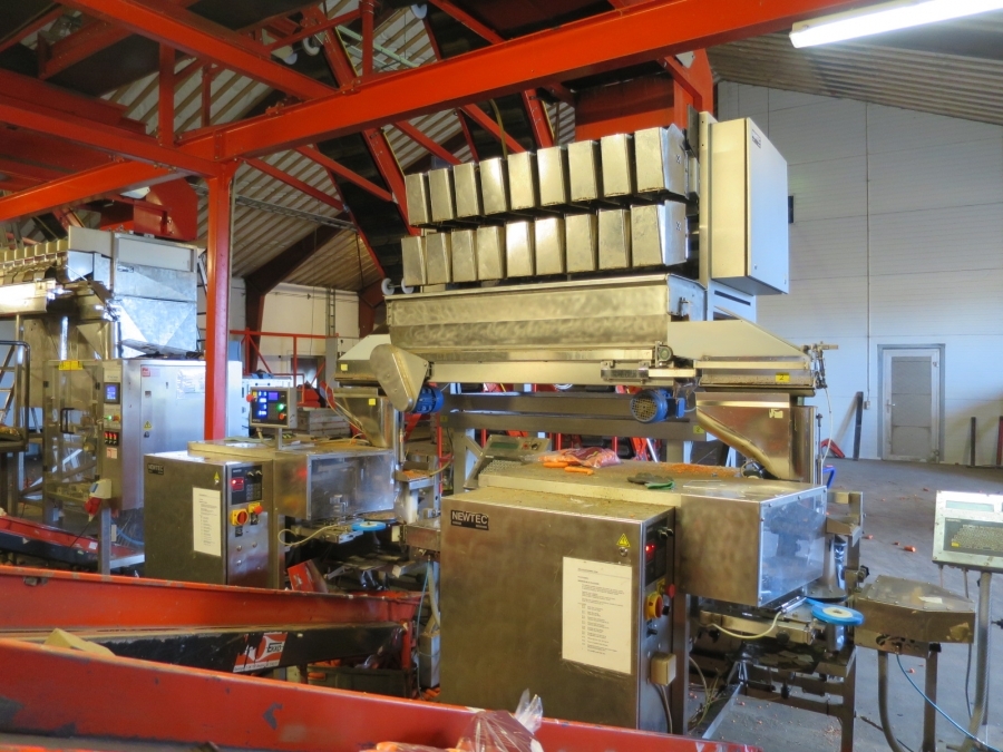4768 Newtec 3009 weigher with bagging line for carrots