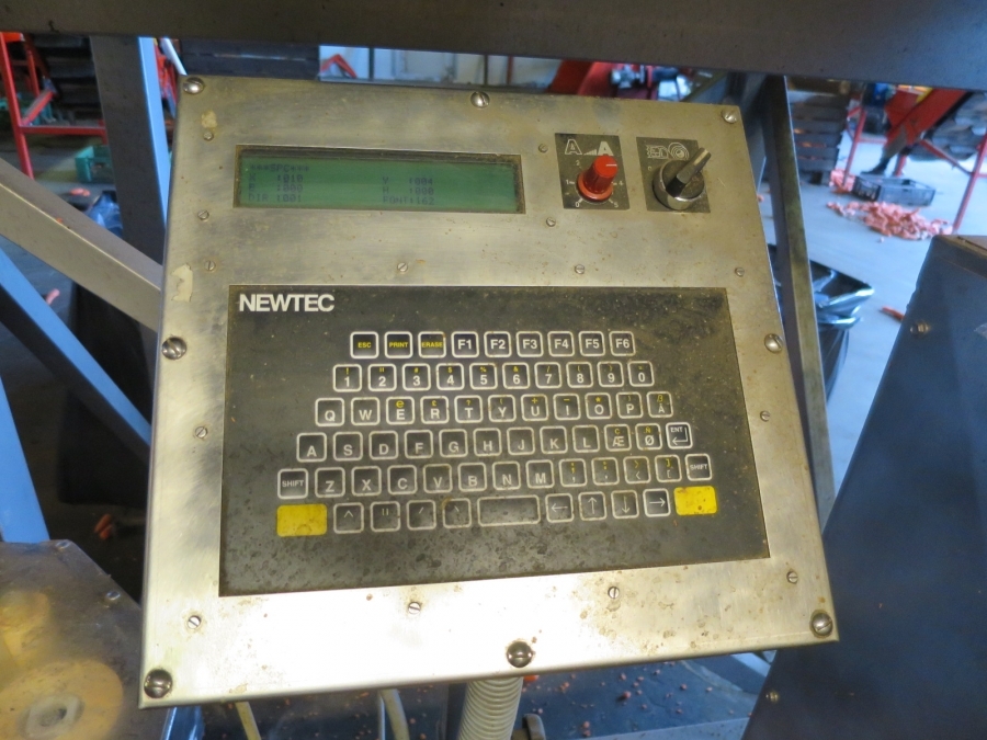 4768 Newtec 3009 weigher with bagging line for carrots