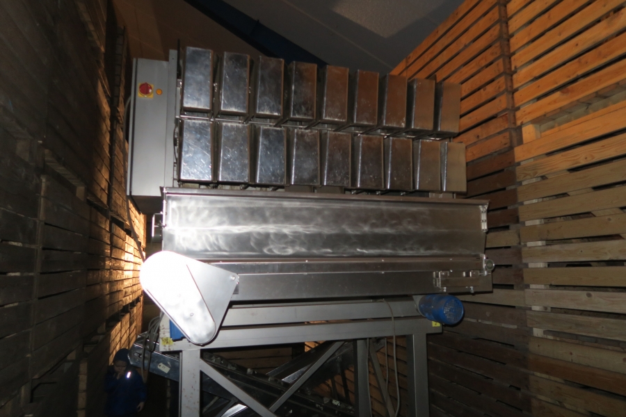 4768 Newtec 3009 weigher with bagging line for carrots