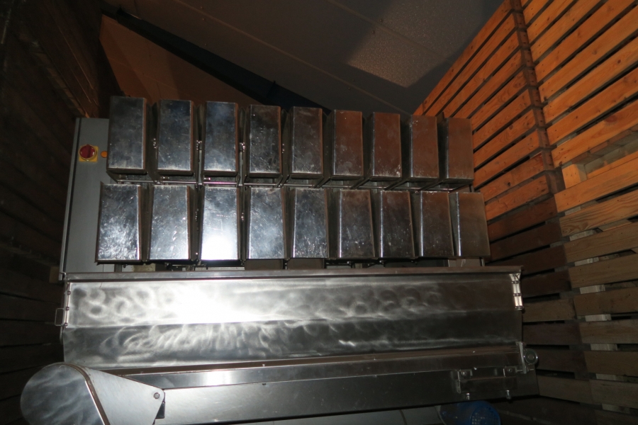 4768 Newtec 3009 weigher with bagging line for carrots