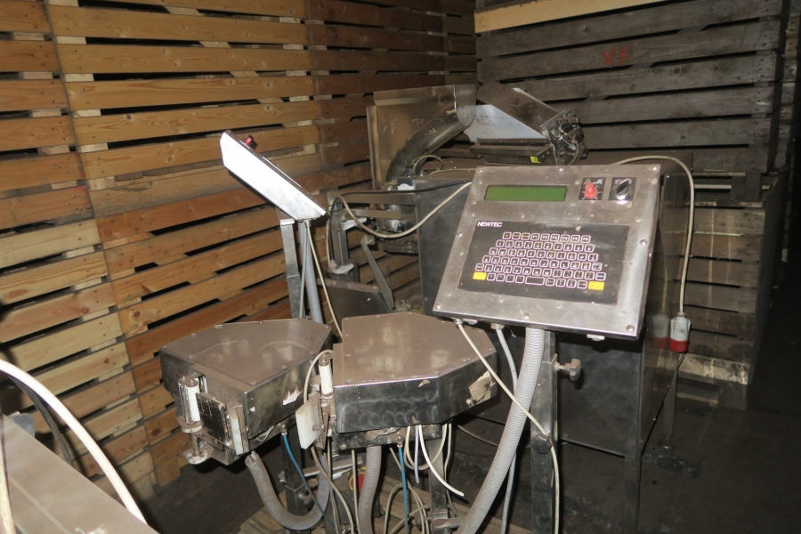 4768 Newtec 3009 weigher with bagging line for carrots