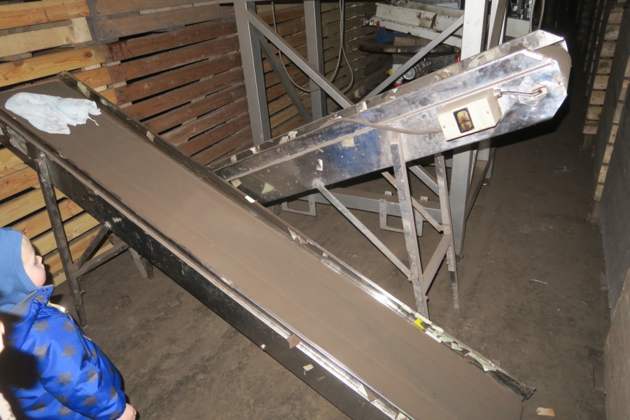 4768 Newtec 3009 weigher with bagging line for carrots