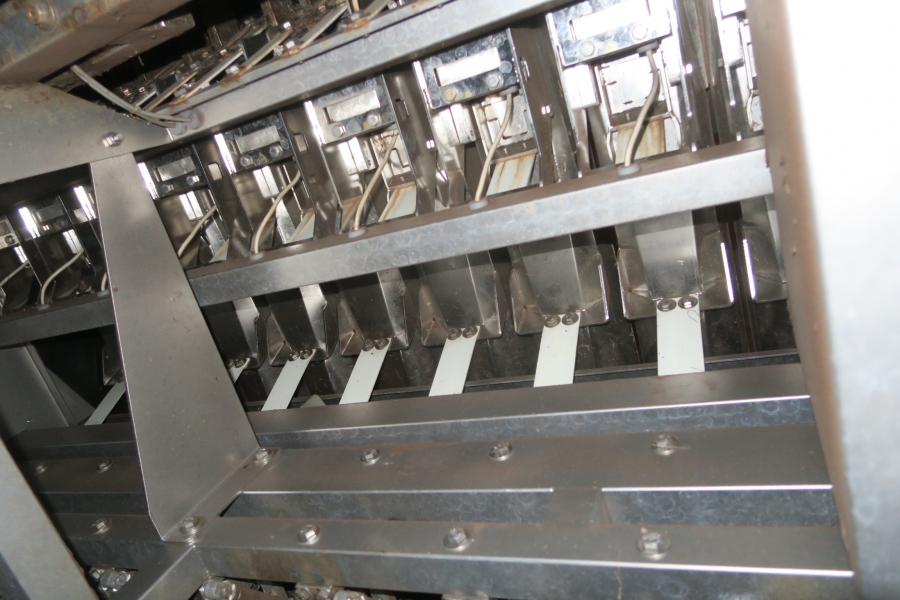 4768 Newtec 3009 weigher with bagging line for carrots