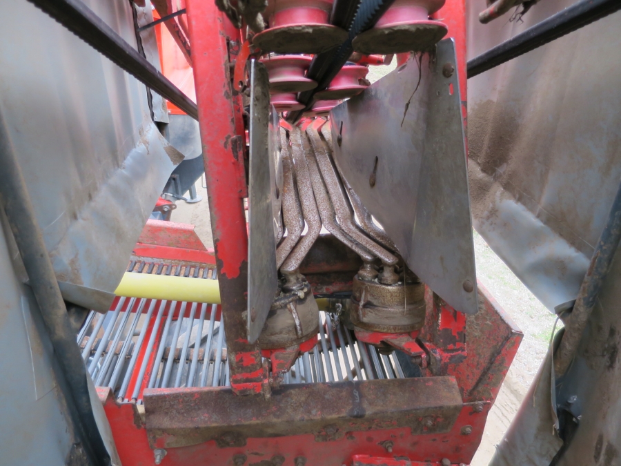 4774 Dewulf GBC carrot harvester 1 row with 3 ton bunker