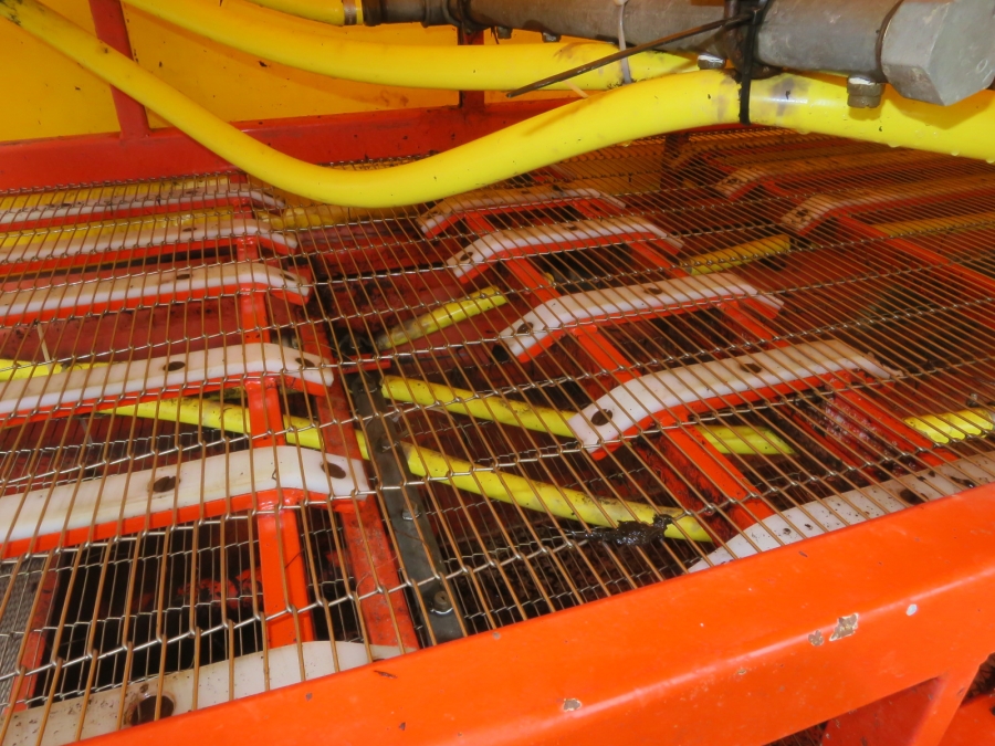 4834 EKKO bunch washer to bunched vegetables