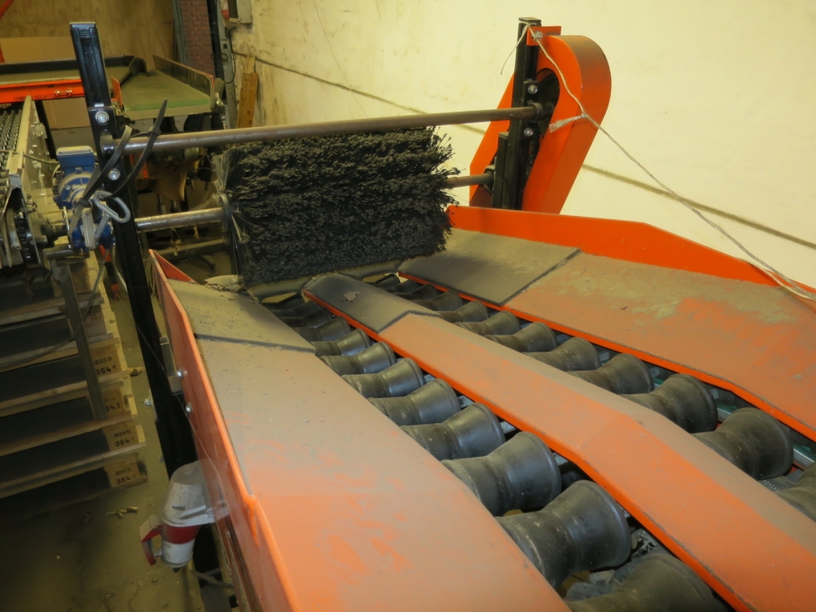 4854 Perfect MGS apple grader