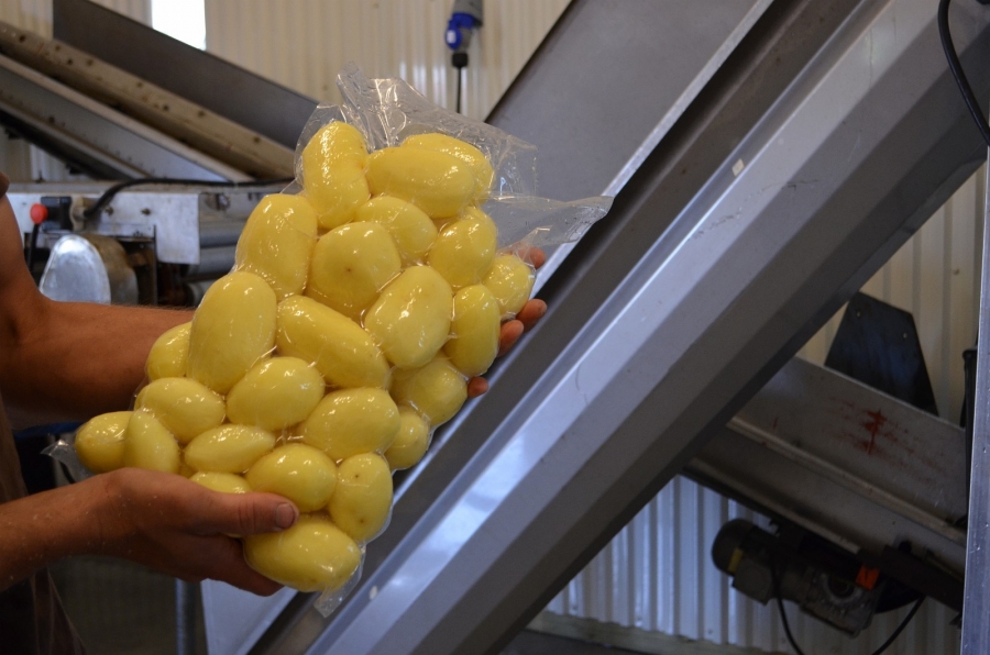 4891 PPM peeling line for potato 