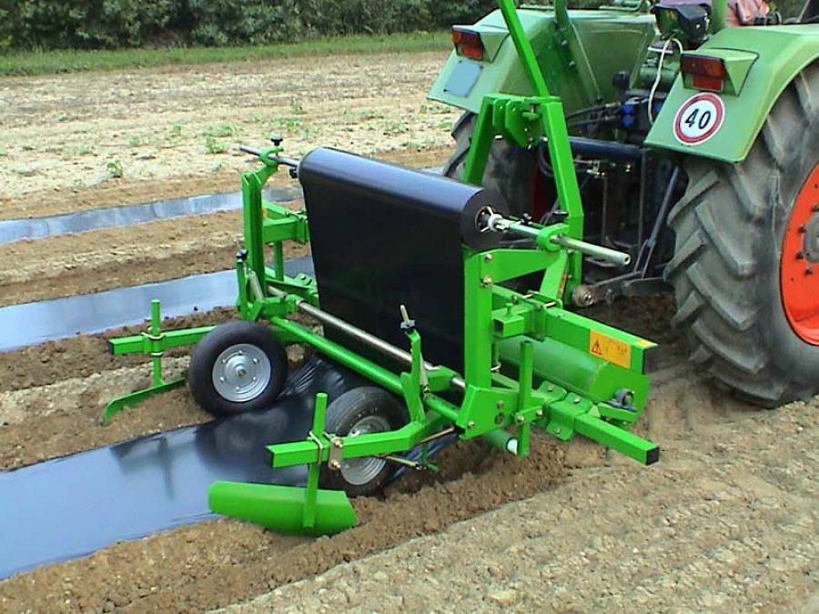 4907 Sfoggia mulch layer