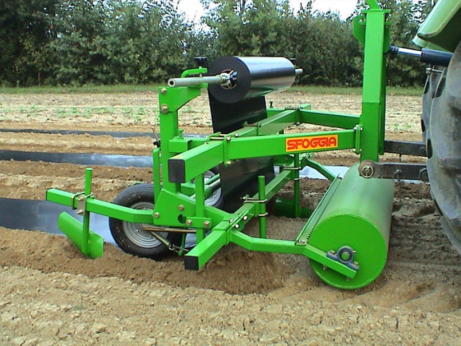 4907 Sfoggia mulch layer