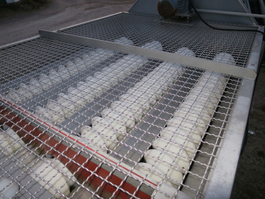 4919 Limas roller grader for peeled potatoes