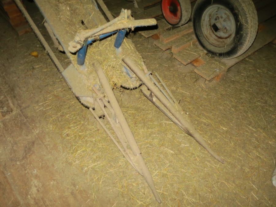 4923 Asa-Lift carrot harvester with roller table for big box