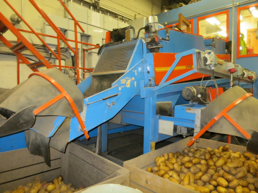 4983 EMVE potato grading line with diabolo sorter