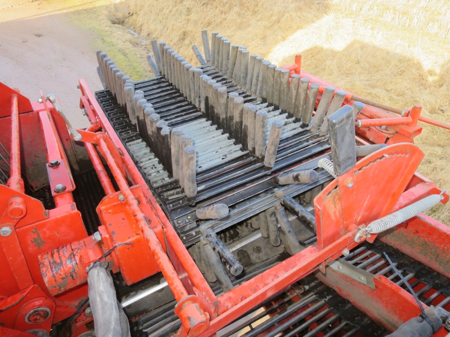5003 Grimme SE70-20 Kartoffelroder