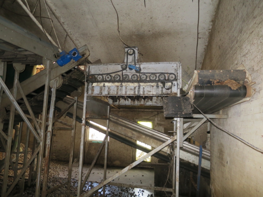 5029 WYMA washing and polishing line