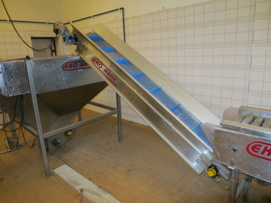 5071 Eko-matic peeling line