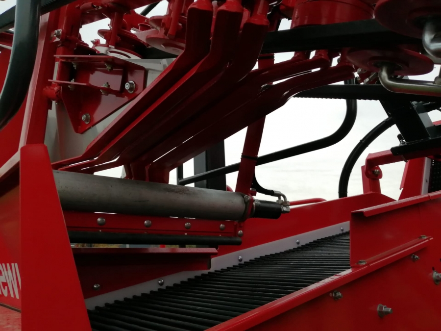 5077 Dewulf GBC carrot harvester with bunker
