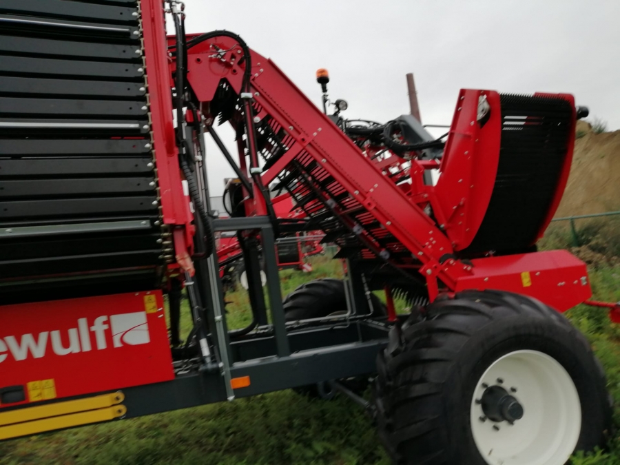 5077 Dewulf GBC carrot harvester with bunker